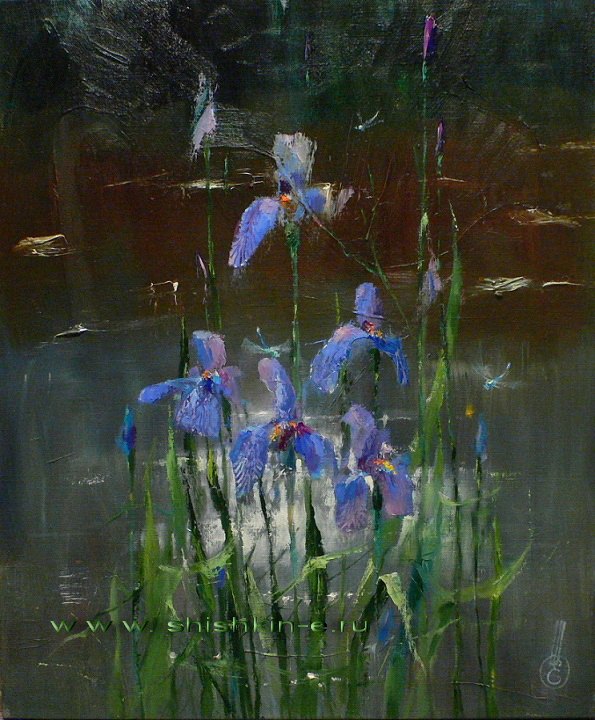 Irises. oil on canvas. 50 x 70 см