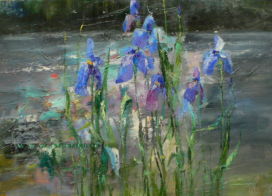 Irises. Oil on canvas. size 50 x 60 см